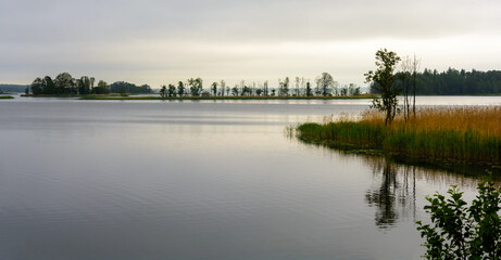 Fototapeta na wymiar Boginskoe lake. Braslav lakes. National park. Vitebsk region. Belarus.