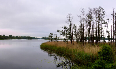 Boginskoe lake. Braslav lakes. National park. Vitebsk region. Belarus.