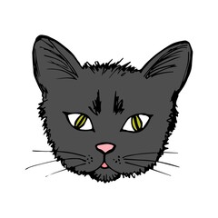 Hand-drawn simple vector drawing. Cute cartoon face of a dark gray, black cat with yellow-green eyes isolated on a white background. For prints, stickers, children's t-shirt. Favorite pet.