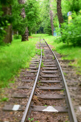 Fototapeta na wymiar Narrow gauge railway in the forest. Path of metal rails and wooden sleepers. Vertical layout. Concept of tourism, life, movement. Tilt-shift effect. Selective focus.