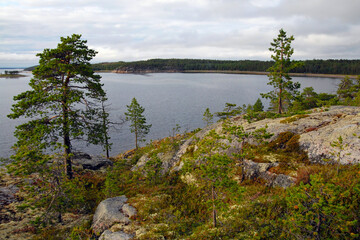 Fototapeta na wymiar Karelian landscape. Kandalaksha Gulf of White Sea. Republic of Karelia, Russia.