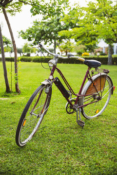 Vintage bicycle on a garden