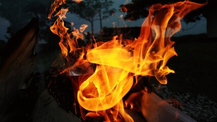 fire in the fire