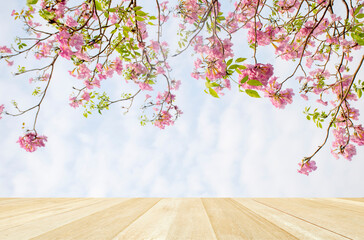 Naklejka na ściany i meble Empty top wooden table on pink flowers tree on sky with clouds