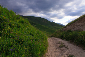 Beautiful spring and summer landscape. Mountain country road among green hills.