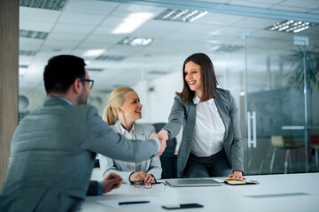 Business meeting at modern office. Smiling businesswoman handshake with businessman.