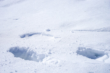 Fototapeta na wymiar 【冬景色イメージ】雪原についた足跡