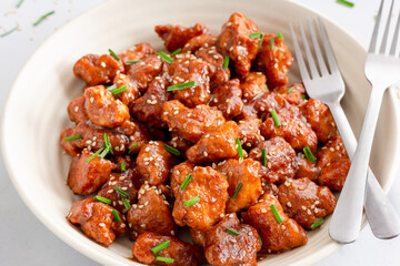 Indian Style Spicy Sweet and Sour Chicken Close Up Photo