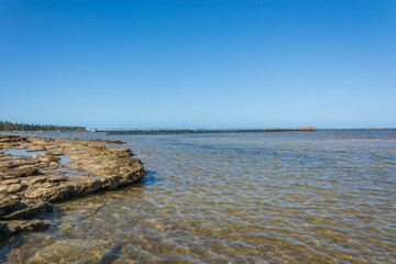 Beautiful beach. View of nice tropical beach