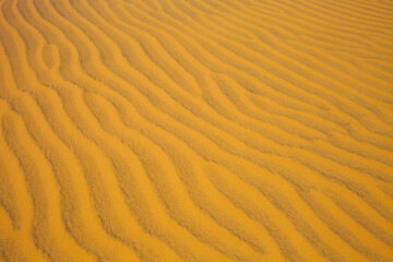 Sand dune in the desert. View on the sandy slope from the top of the sand dune. Sand texture. Sand pattern full frame photography. Sand dune surface in the hot sunny day. Sand ripples close-up. 