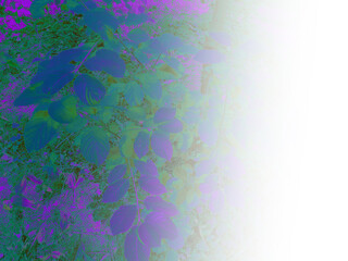 foliage