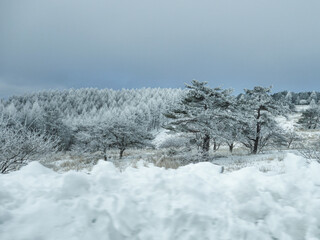 【霧氷に囲まれた雪道】ビーナスラインの冬景色