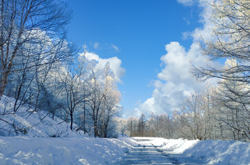 Fototapeta na wymiar 【霧氷に囲まれた雪道】ビーナスラインの冬景色