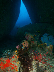 Fototapeta premium Swim through between boulder rocks