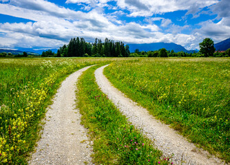 old country road at the alps