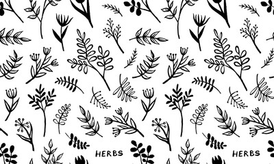 Hand drawn vector seamless pattern with herbs. Doodle floral element. Spring and summer symbol. Contour otline drawing of simple black twigs and flowers. Print design