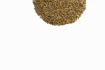 Grains of wheat, barley, rye, oats on a white background close-up, natural dry grain in the form of an even semicircle or sun on top side, wheat seeds, isolated, top view. Free space for text.