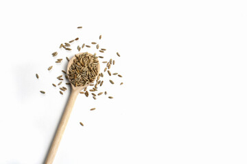 Wooden spoon with brown grains of wheat on pure white isolated background on left side. Cereal seeds scattered on table around spoon. Oats, rye barley close-up. Top view. Free blank space for text