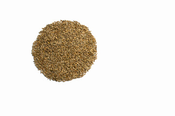 Grains of wheat, barley, rye, oat on white background close up, natural dry grain in the form of a smooth circle on the left side, wheat grains, isolated, top view. Free space for text