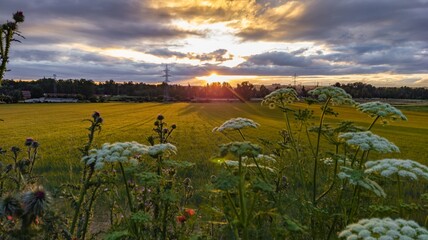 Horizontal shot of a beautiful natural landscape under puffy clouds at an exciting sunset