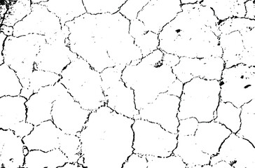 Dry soil texture. Cracks background. Grunge texture. Grunge black and white vector overlay. Grungy grainy surface.
