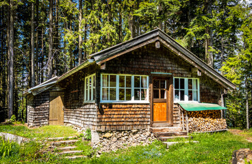 Fototapeta na wymiar old wooden hut at the alps