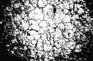 Dry soil texture. Cracks background. Grunge texture. Grunge black and white vector overlay. Grungy grainy surface.