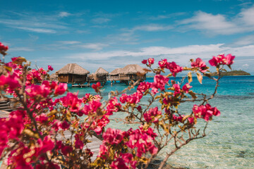 Beautiful tropical resort hotel at the sea.