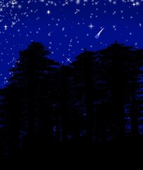Ilustração de floresta noturna