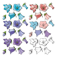 Vector flat bell flower leaves blossoms stems set