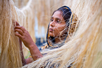 A female worker is processing the fibers from the pineapple leaves and letting them dry in the sun....