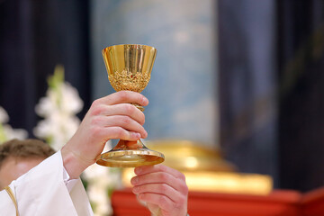 Chalice in the hands of the priest on the altar during the celebration of the mass