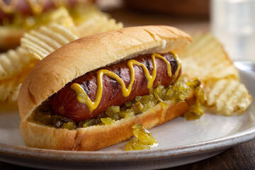 Grilled Hot Dog on a Bun