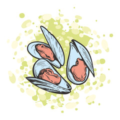 vector sketch mussels underwater animal sea food