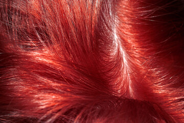 Red shiny hair abstract background texture. Macroshot