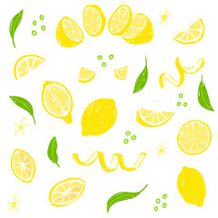 Lemon hand drawn vector illustration set. Whole, sliced, cut lemon, peel, leaves. Design template