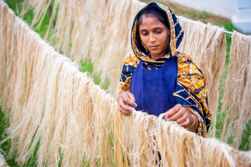 A female worker is processing the fibers from the pineapple leaves and letting them dry in the sun. Agricultural waste product.