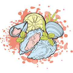 vector sketch mussels underwater animal sea food