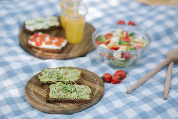 Picnic basket with healthy vegan sandwiches on blue checkered blanket in park. Fresh fruits, vegetables and orange juise. Vegan picnic concept