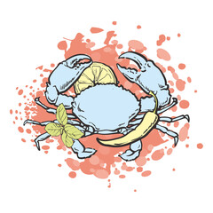 Vector illustration of crab with lemon and spices in sketch style.