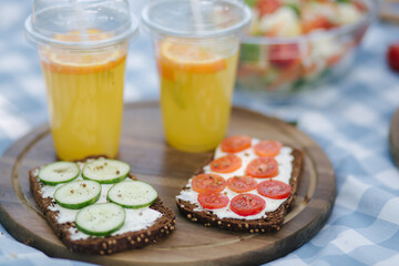 Picnic basket with healthy vegan sandwiches on blue checkered blanket in park. Fresh fruits, vegetables and orange juise. Vegan picnic concept
