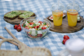 Picnic basket with healthy vegan sandwiches on blue checkered blanket in park. Fresh fruits, vegetables and orange juise. Vegan picnic concept