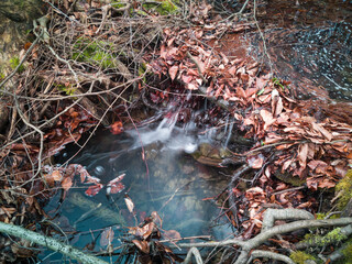 A mountain stream flows through a barrier of twigs and fallen leaves in the forest.