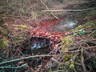 A mountain stream flows through a barrier of twigs and fallen leaves in the forest.