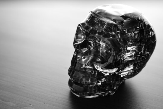 Skull from pieces