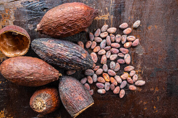 Dried cocoa and cocoa seeds on a wooden background
