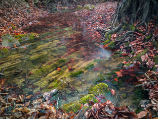 Scenic view of mountain stream in autumn during overcast day. A shallow mountain creek with a rocky...