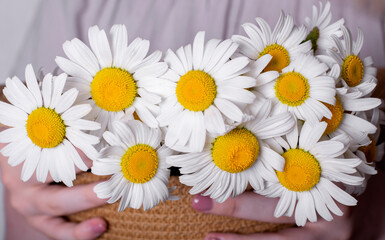 Fototapeta premium Bunch of camomiles in a straw hat in woman hands