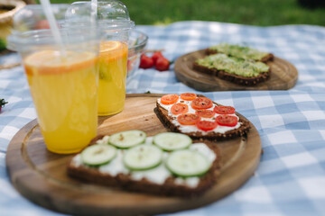 Picnic basket with healthy vegan sandwiches on blue checkered blanket in park. Fresh fruits, vegetables and orange juise. Vegan picnic concept