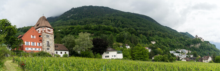 Fototapeta na wymiar panorama view of the historic 13th-century Red House in Vaduz in Liechtenstein